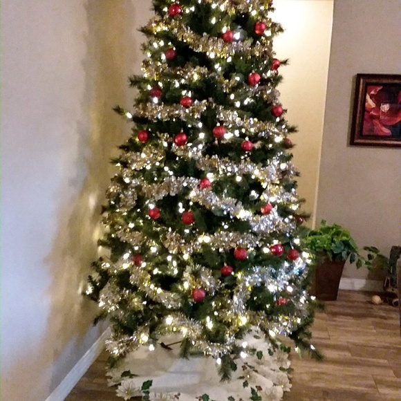 Meet your Posher, Fabiola - Picture 1 of 1